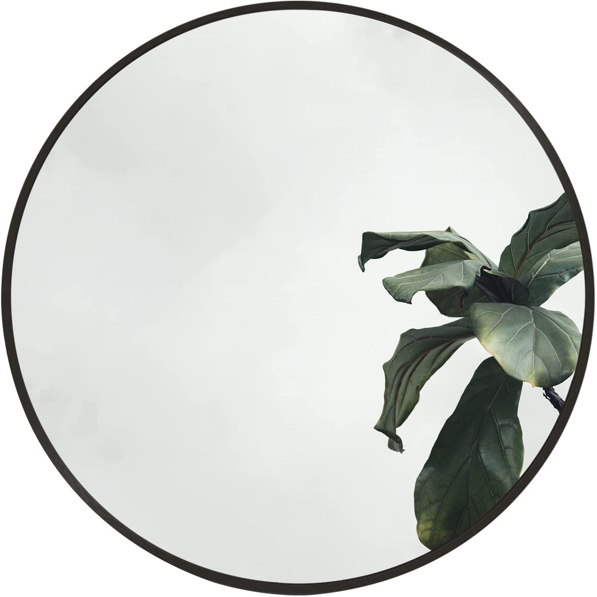 Round mirror with black rim and reflective glass, leafy plant reflection visible