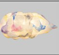 Multicolor cloud LED pendant lamp with soft pastel fabric texture